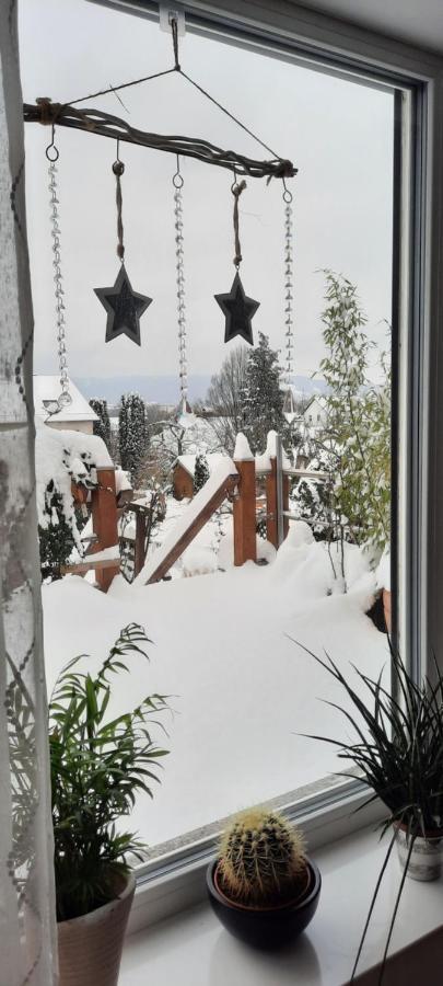 Appartment Fasanenhof Klinikum Und Uni Nah Mit Netflix Cassel Extérieur photo